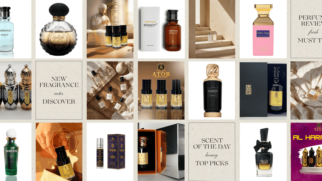 Best Arabian Perfumes in the UK (2026 Guide – Long Lasting & Affordable) - Ator Perfume