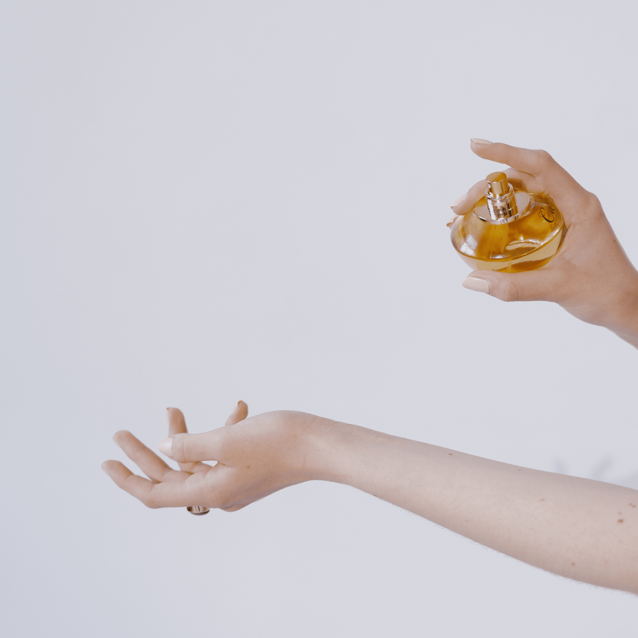 Women's Perfume Collection - Ator Perfume